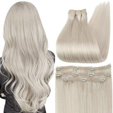 FShine Lace Clip In Hair Extensions Clip in Hair Extensions #1B/Silver/1B