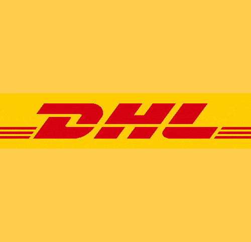 Expedited shipping service via DHL or FedEx - FShine Shop